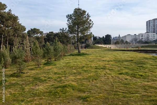 Obraz City Skyline with TV Tower