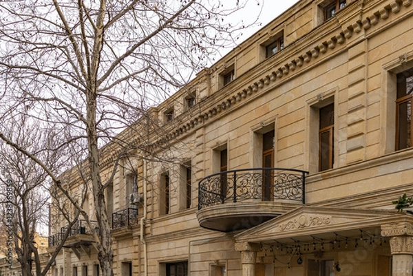 Obraz leafless tree near a building