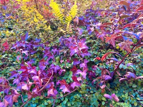 Fototapeta 植物のある暮らし