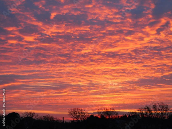Obraz 日本、冬の朝焼け