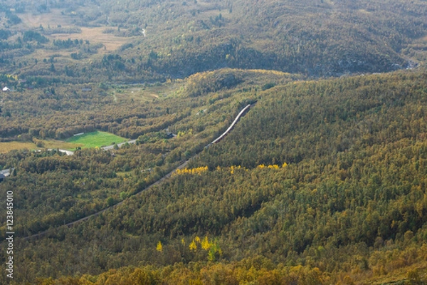 Fototapeta A Train through the forest