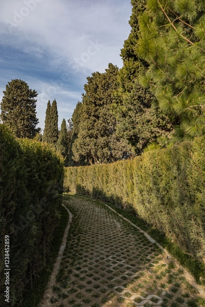 Fototapeta Ornamental Garden with Topiary Landscaping