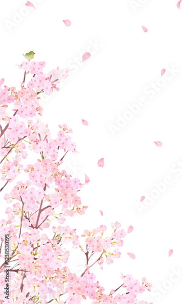 Obraz ウグイスのいる桜の木ー美しい薄いピンク色の桜の花と花びら春の水彩白バックフレーム背景素材イラスト