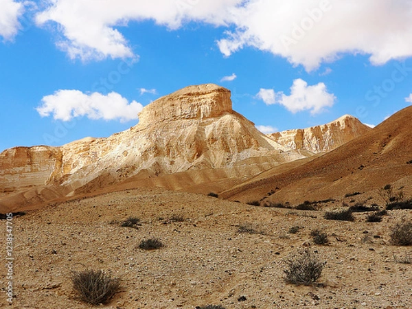 Obraz Beautiful mountains of the Negev desert