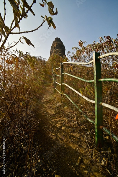 Obraz Path through bushes and iron railings leading to the top of Ratangad fort located in Ahmednagar, Maharashtra, India.