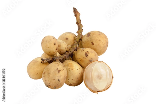 Obraz southern langsat fruit