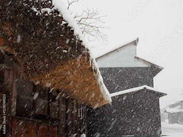 Obraz Close up snow on the roof of the house, old Japanese house in winter, Shirakawago