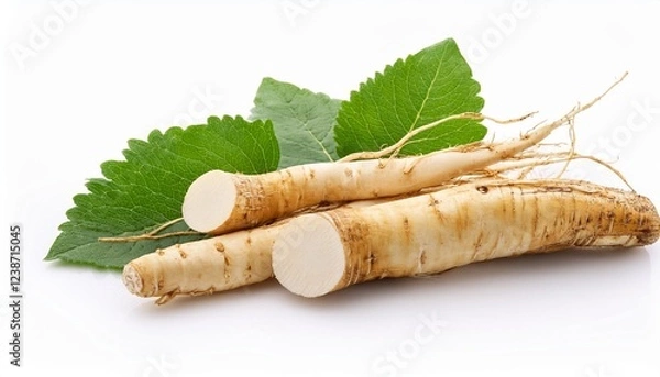 Obraz horseradish root with leaf on white background