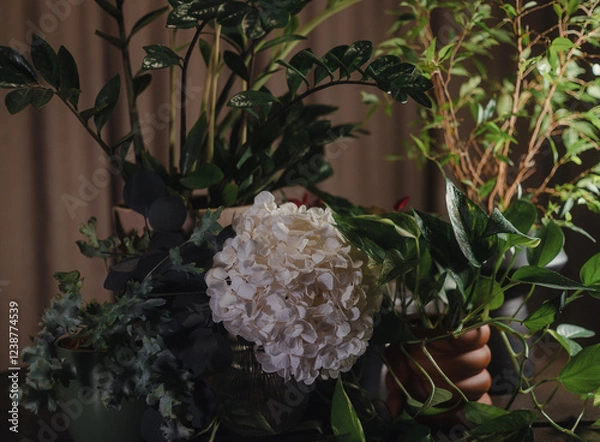 Fototapeta Elegant floral composition with green leaves in dim light