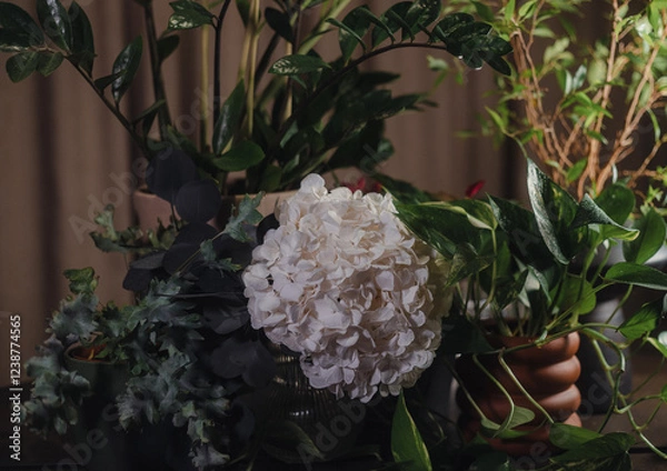 Fototapeta Elegant floral composition with green leaves in dim light