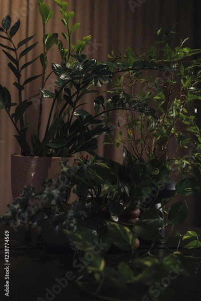 Fototapeta Elegant floral composition with green leaves in dim light