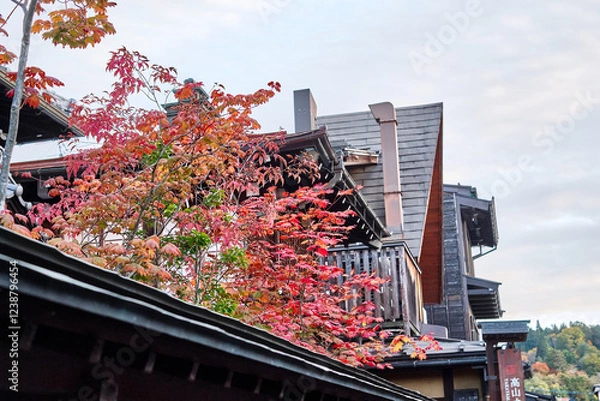 Obraz Japan - Takajama