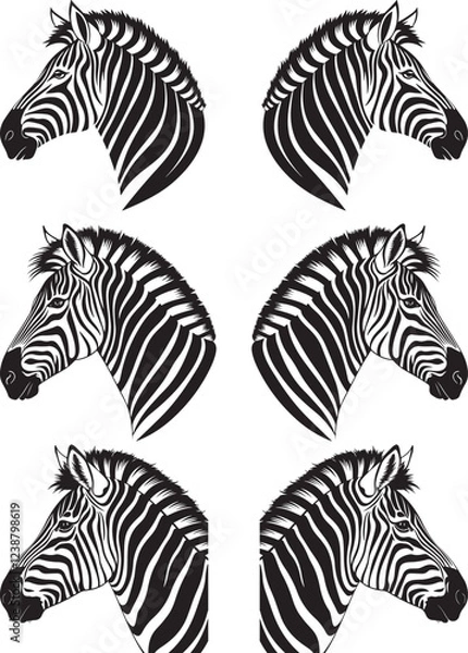 Obraz Set of zebra vector Adobe Illustrator Artwork