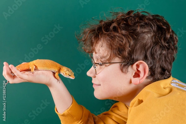 Fototapeta Curly cheerful shaggy shaggy boy with glasses holding orange eublepharis on green background. Concept of unusual pets that are safe for allergic children. 