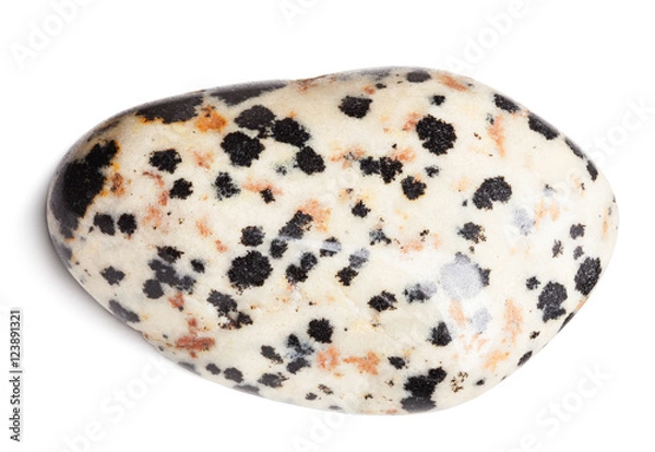 Fototapeta Dalmatian jasper stone isolated on white with clipping path