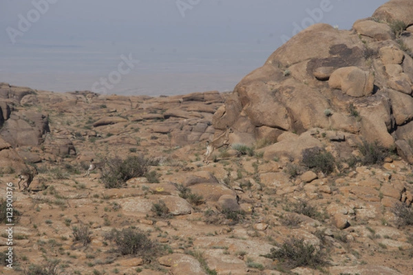 Fototapeta イフガザリンチョロー