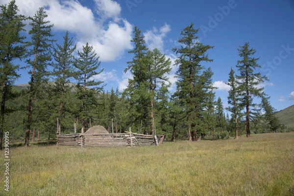 Obraz モンゴルの山岳部草原