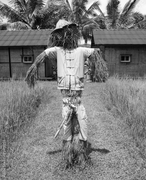 Obraz black and white scarecrow