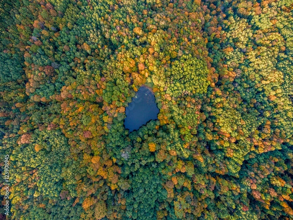 Obraz Aerial top view. Autumn  landscape. Wild forest lake.