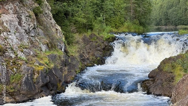 Obraz waterfall in the forest