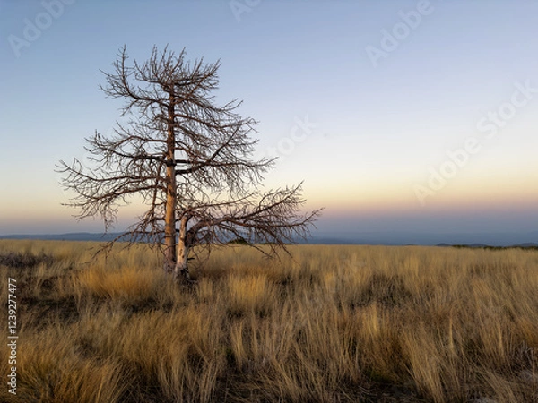Obraz Stunning mountain landscape with beautiful trees, green grass, and rocky terrain during a breathtaking sunset, showcasing nature's beauty and vibrant colors in a tranquil outdoor setting