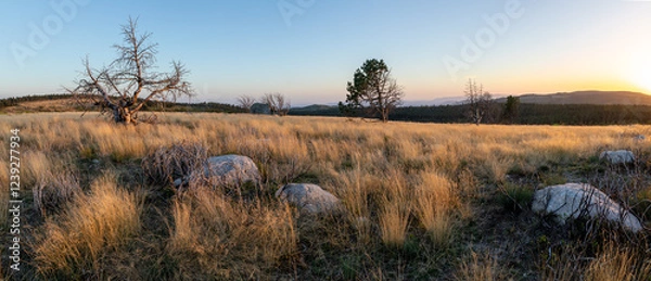 Obraz Stunning mountain landscape with beautiful trees, green grass, and rocky terrain during a breathtaking sunset, showcasing nature's beauty and vibrant colors in a tranquil outdoor setting
