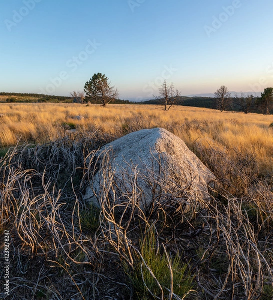 Obraz Stunning mountain landscape with beautiful trees, green grass, and rocky terrain during a breathtaking sunset, showcasing nature's beauty and vibrant colors in a tranquil outdoor setting