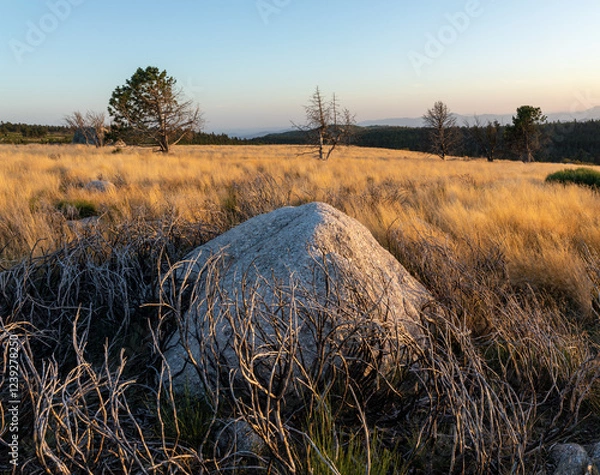 Obraz Stunning mountain landscape with beautiful trees, green grass, and rocky terrain during a breathtaking sunset, showcasing nature's beauty and vibrant colors in a tranquil outdoor setting