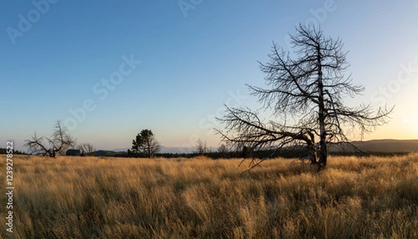 Obraz Stunning mountain landscape with beautiful trees, green grass, and rocky terrain during a breathtaking sunset, showcasing nature's beauty and vibrant colors in a tranquil outdoor setting