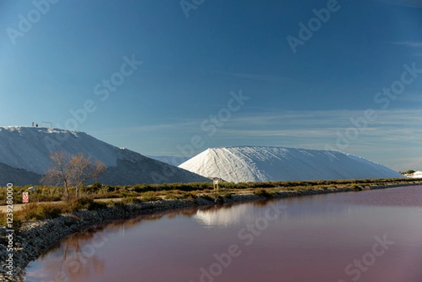 Obraz Heap of white salt in the Saltworks of Aigues-Mortes, south France, Europe
