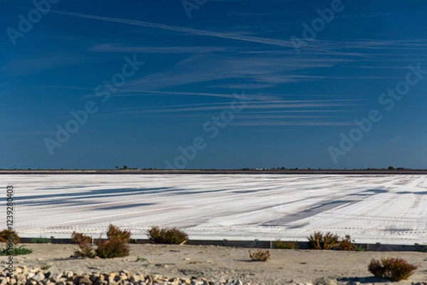 Obraz Heap of white salt in the Saltworks of Aigues-Mortes, south France, Europe