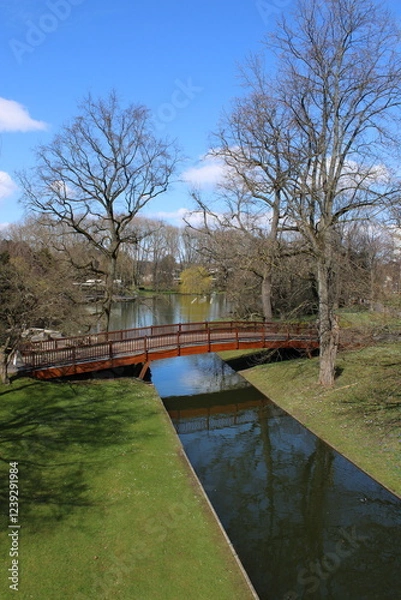 Obraz river in the park