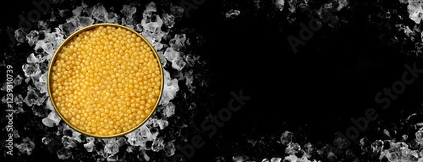 Fototapeta Tin of Caviar Albino on ice on black background on banner format
