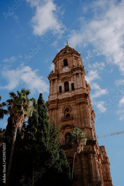 Obraz notre dame cathedral