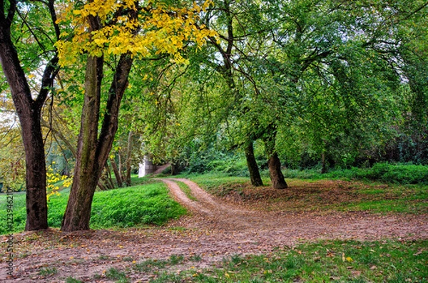 Obraz L'automne est là !