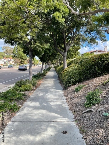 Fototapeta lush sidewalk