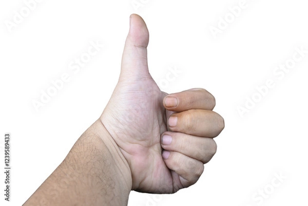 Fototapeta A human hand displays a thumbs up gesture with a dark background giving a feeling of approval