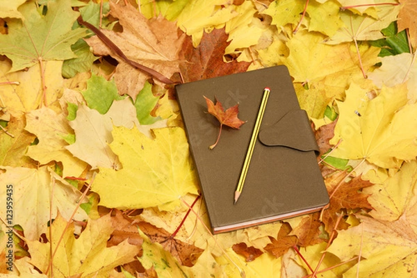 Fototapeta Закрытая записная книга и карандаш на жёлтой листве