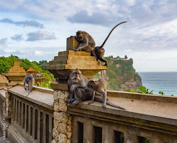 Fototapeta Few monkeys in Uluwatu Monkey Forest, Badung, Bali, Indonesia. Uluwatu Temple is visible in the background.