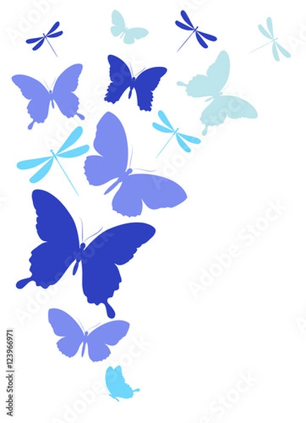 Obraz color butterflies,isolated on a white