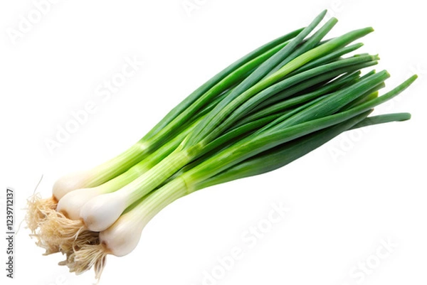 Fototapeta fresh green onions