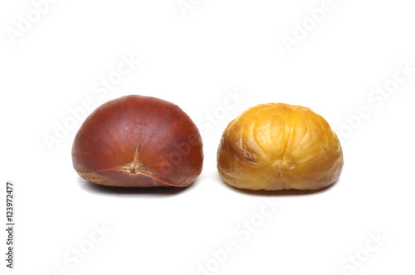 Obraz Roasted Chestnut isolated