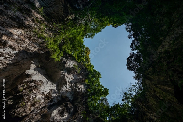 Fototapeta Sunlight streams into a lush cave, illuminating the vibrant green canopy and the rocky walls.