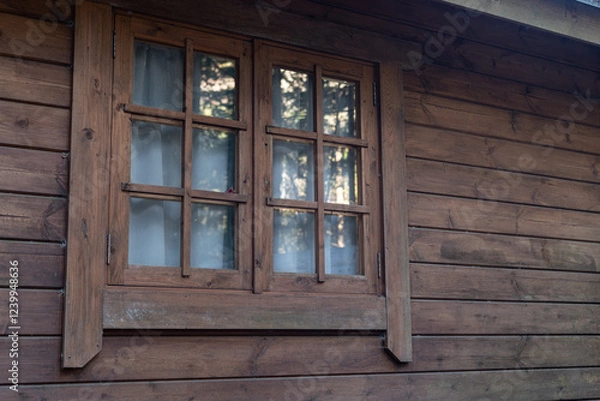 Fototapeta 森の中のログハウス