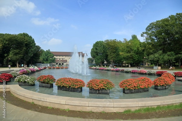Fototapeta 東京・上野恩賜公園の噴水