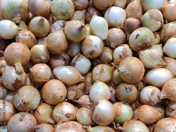 Fototapeta Group of onion selling in market