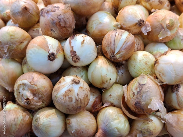 Fototapeta Group of onion selling in market