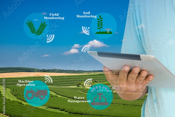 Fototapeta Smart Agriculture and Internet of things in agriculture concept. Farmer using digital tablet to monitor conditions from wireless sensor network in agricultural field.