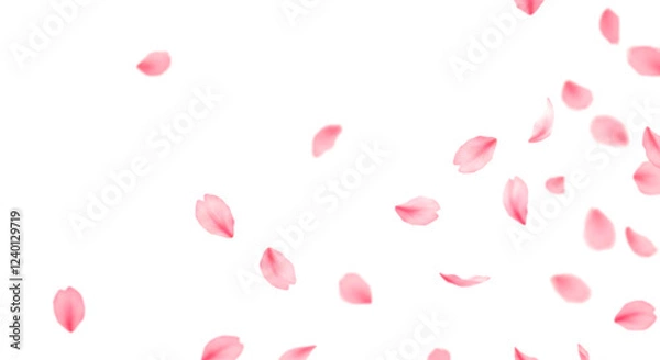 Obraz 桜の花びら、透明背景