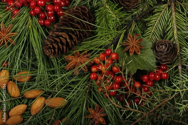 Obraz christmas frame